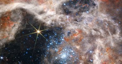 Étoiles Tarantula R136 de Webb