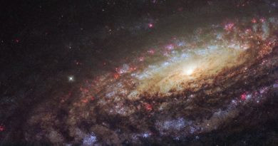 NGC 7331 en gros plan