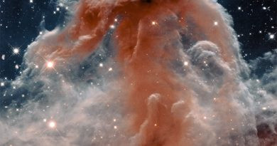 La nébuleuse de la Tête de cheval dans l'infrarouge de Hubble