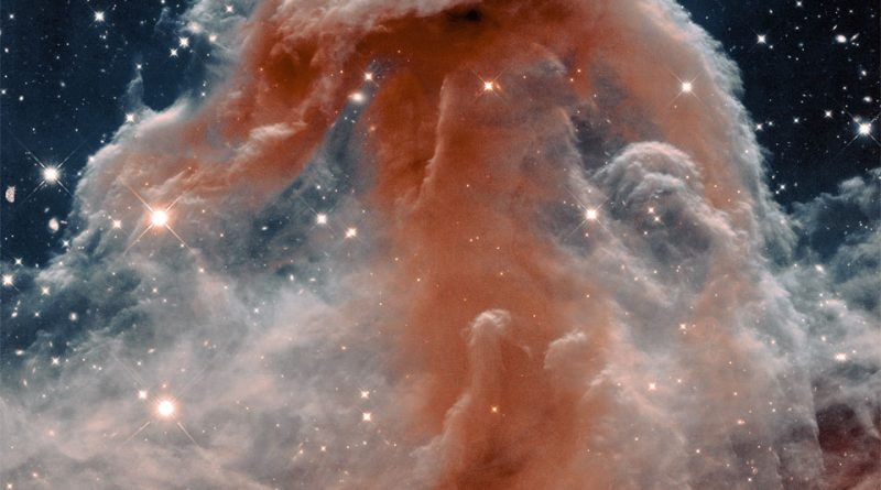La nébuleuse de la Tête de cheval dans l'infrarouge de Hubble