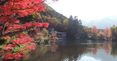 Automne à Oita