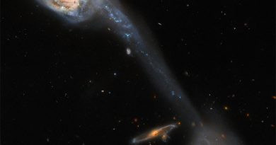 Galaxies : Wild's Triplet from Hubble