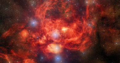 NGC 6357 : La nébuleuse du homard