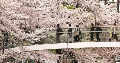 Roppongi en fleurs