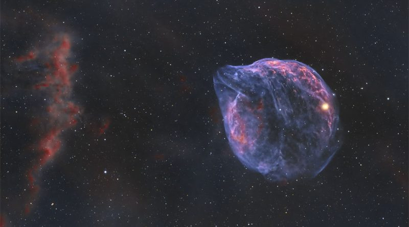 Sh2-308 : Une bulle étoilée en forme de dauphin