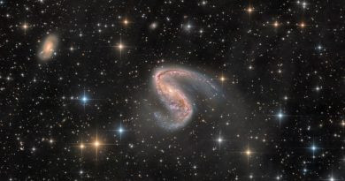 NGC 2442 : Galaxie de Volans