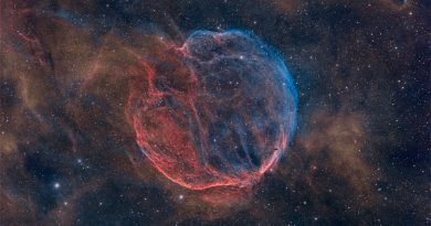 Le vestige de supernova de la nébuleuse Medulla